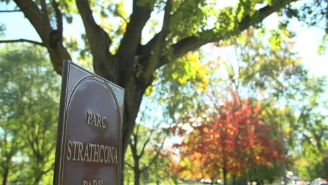Tilt down to Strathcona park sign autumn in Ottawa Stock-Footage 140813172