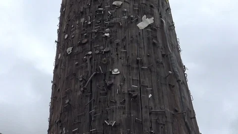 Tilt down telephone power pole with staples and nails Stock Footage 75550697