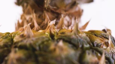 Tilt Down of Textured Pineapple Rotating Stock-Footage 130137626