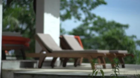 Tilt Down from tree to pool chairs Stock Footage 41388008