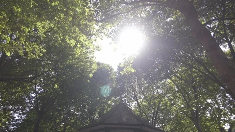 TILT DOWN FROM TREES TO BANDSTAND IN ARNOLD CIRCUS IN SHOREDITCH Stock Footage 126663251