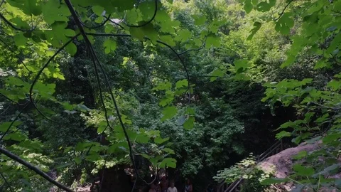 Tilt down from the trees to deep waters of a waterfall in Marmaris Turkey Stock Footage 80506893
