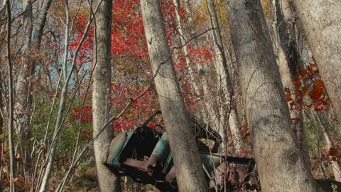Tilt Down From Treetops to Old Rusty Truck, 4K Stock Footage 70792782