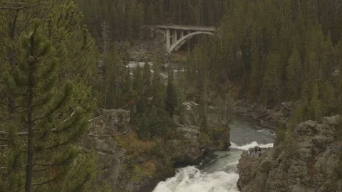 Tilt Down Upper Yellowstone Falls Bridge River Stock Footage 122224235