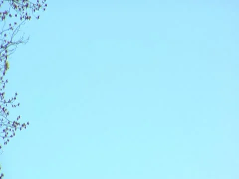 Tilt Down on US Capitol Dome Stock Footage 10797824