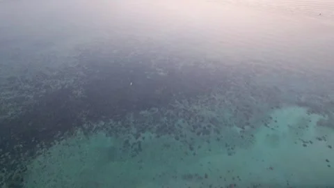 Tilt drone camera people chilling and partying on a zen beach in Koh Phangan Stock Footage 279307481