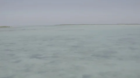 TILT UP DRONE VIEW LAGOON Stock-Footage 79561310