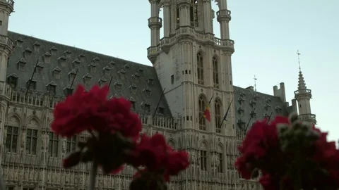 Tilt up the facade of Brussels Town Hall Stock Footage 110688375
