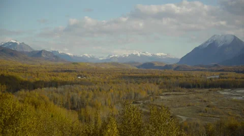Tilt  Fall Color Trees Distant Mountains to Blue Sky Stock Footage 38086509