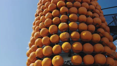 Tilt up farm silo lined with large orange pumpkins on display in autumn 스톡 동영상 202232547