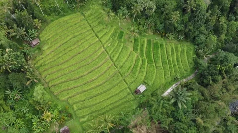 Tilt up from fields to landscape Stock Footage 329867300