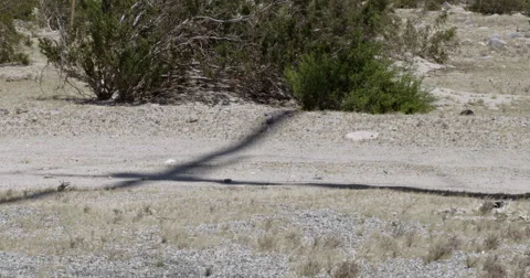 Tilt up to five wind turbines generating power at wind farm 4K Stock Footage 63846477