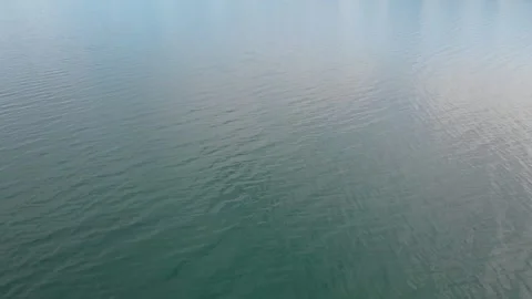 Tilt up Flathead lake to Mountains Stock Footage 310526686