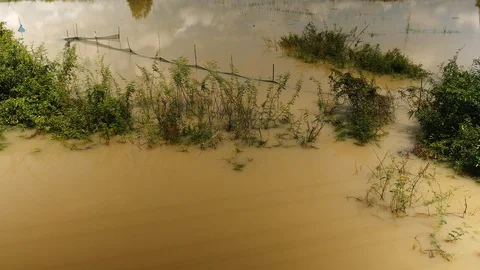 Tilt up flooded paddy fields under white clouds blue sky Stock Footage 100434781