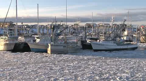 Tilt up to Frozen Harbor Scene 스톡 동영상 10590341