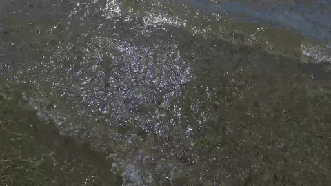 Tilt up on Haystack Rock at Cannon Beach Stock Footage 92455714