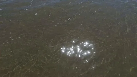 Tilt up on Haystack Rock with sparkling water Stock Footage 92455647
