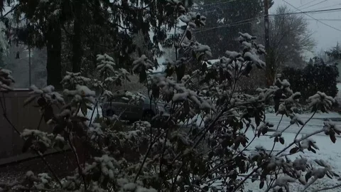 Tilt up to heavy snow Stock Footage 92455837
