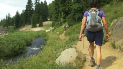 Tilt up of hikers on a trail Stock Footage 59476355