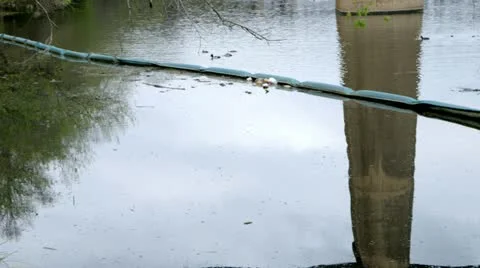 Tilt from lake polution Stock Footage