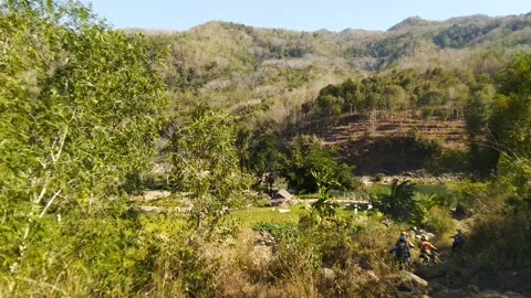 Tilt left windy tree in hill Video stock 169357394