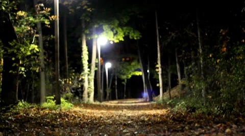 Tilt up from lit path in woods night focus pull Stock-Footage 35753510