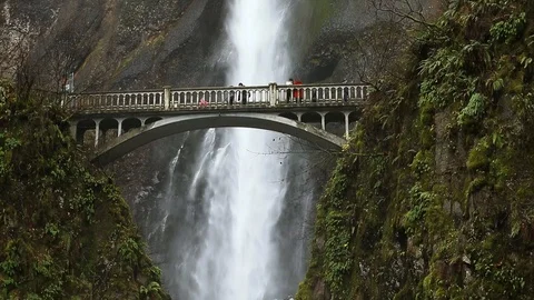 Tilt Up on Lower Section and Bridge at Multnomah Falls in Columbia River Stock Footage 100533043