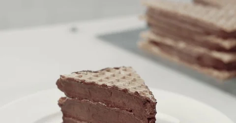 Tilt movement of camera to piece of cke in dish Stock Footage 77647449