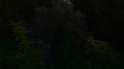 Tilt movement Split panorama from the viewpoint early in the evening Stock Footage 92771586