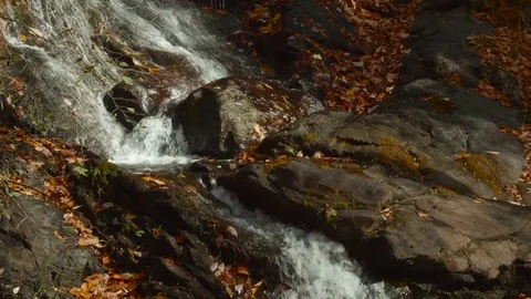 Tilt Up Natural Waterfall Surrounded by Fall Leaves Stock Footage 70810798