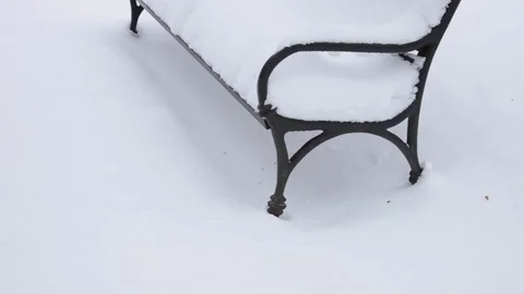 Tilt-up of park bench and trees covered in snow during winter Stock Footage 71964226