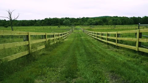 Tilt up on a path through a farm field Stock Footage 130144267