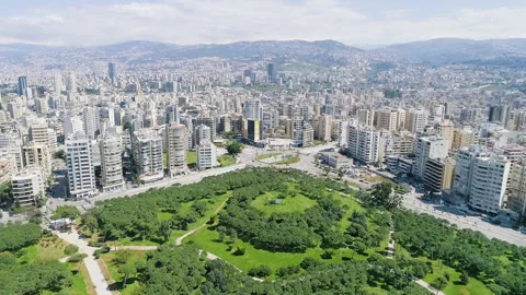Tilt up from the Pine Forest park to the Mount Lebanon Stock Footage 254919522