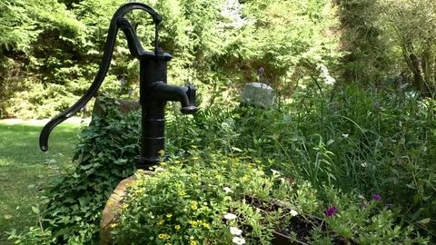 Tilt: Pumping well in a garden, tree trunk with flowers, fir trees, reeds Stock Footage 79494789