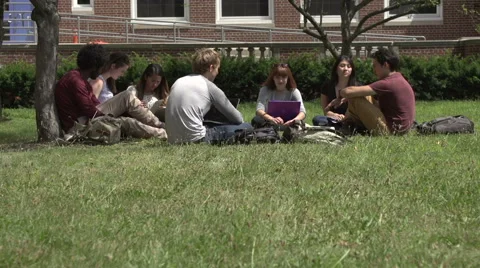 Tilt up to a racially-diverse students studying outside. Stock Footage 44117105