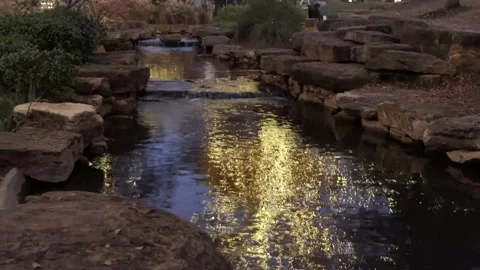 Tilt up reflection in stream of trees outdoors lit for Christmas holidays Vídeo Stock 145110629