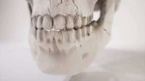 A Tilt up to reveal skeleton head Stock Footage 155227095