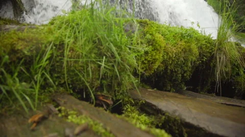 Tilt up reveals waterfall Stock Footage 59131275