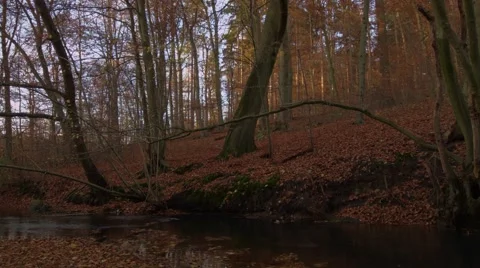 Tilt at a river Stock Footage 44444570