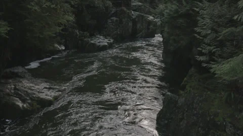 Tilt from River Water to Forest Cliffs 스톡 동영상 219531704