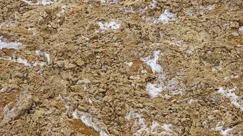 Tilt up-Rough texture mud-salt flat at Bad Water-Death Valley Stock Footage 263614621