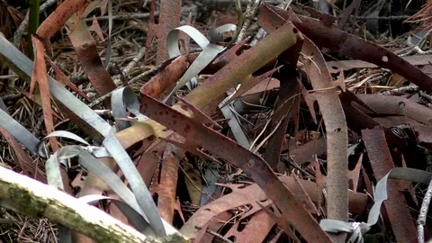 Tilt: Rusty razor wire on a former military training ground, now heathland, fern Video stock 79829542