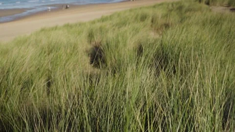 Tilt up from sand with grass over dune to beach in Knokke Belgium Vídeo Stock 329670462