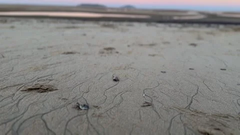 Tilt-Up from Sand Texture to Beach Sunset Landscape Stock Footage 339672917