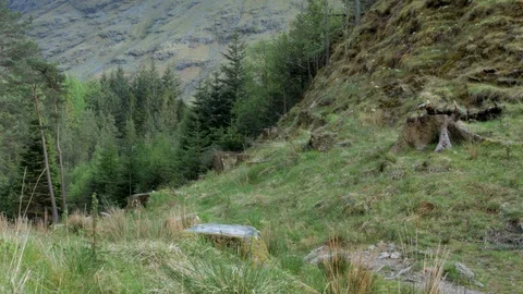 Tilt up to Scottish Mountain in Highlands Stock Footage 85949573