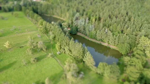 Tilt-Shift Aerial View: Reflective Pond/Lake Amidst Lautenbach Forest in 4K Stock Footage 249271310
