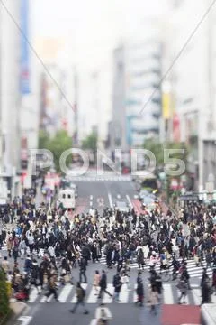 Tilt-shift bird's eye view of Shibuya, Tokyo, Japan Stock Photos