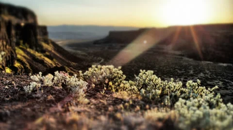 Tilt Shift Canyon Sunset, Desert Spring HDR Time Lapse Vídeo Stock 31743162