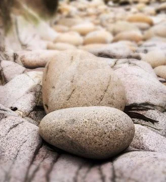 Tilt shift effect image with shallow depth of field textured rocks on beach Foto stock