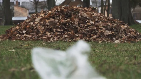 Tilt shift from garbage plastic bag on the floor and leaves stack then 動画素材 98736885